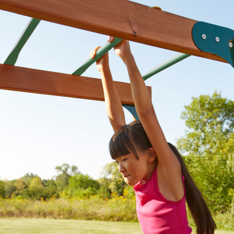 SwingnSlide Monkey Bars & Reviews Wayfair